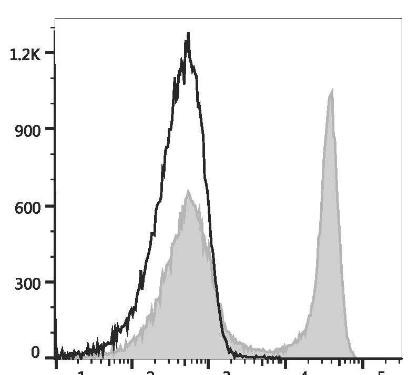PE Anti-Rat CD45RA Antibody [OX-33] (AGEL3424)