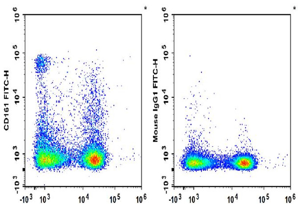 FITC Anti-Rat CD161 Antibody [3.2.3] (AGEL3427)