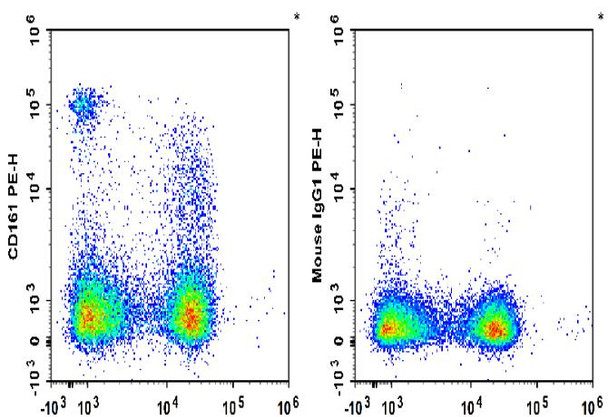 PE Anti-Rat CD161 Antibody [3.2.3] (AGEL3428)