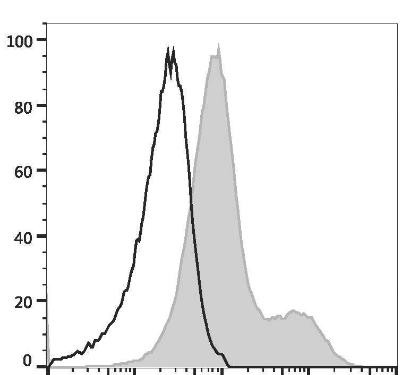 APC Anti-Mouse/Rat CD29 Antibody [HMκ1-1] (AGEL3431)