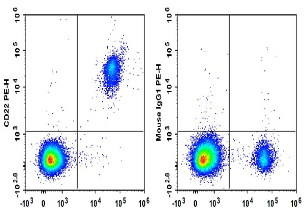 PE Anti-Human CD22 Antibody [HIB22] (AGEL3437)