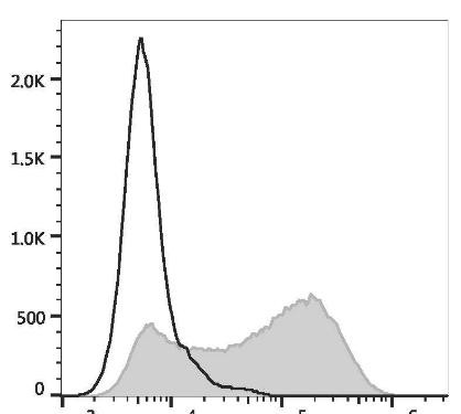GenieFluor 488 Anti-Human CD34 Antibody [4H11] (AGEL3441)