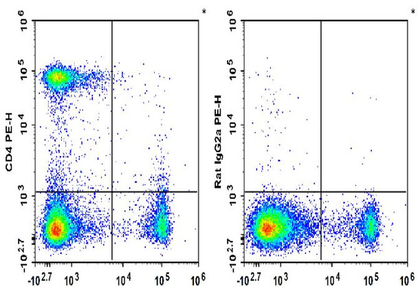 PE Anti-Mouse CD4 Antibody [RM4-5] (AGEL3494)