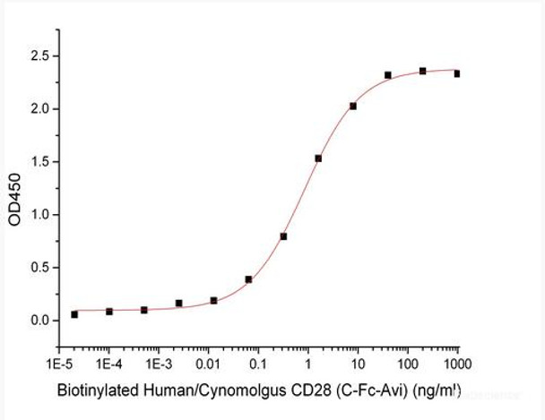 Recombinant Human/Cynomolyus CD28/TP44 (C-Fc-Avi) Biotinylated
