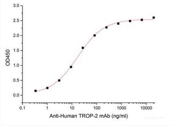 Recombinant Human Tumor-associated Calcium Signal Transducer 2/TROP-2 (C-Avi-6His) Biotinylated