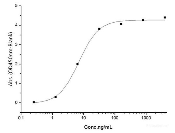 Recombinant SARS-CoV-2 Spike RBD (K417T, E484K, N501Y) (His Tag)