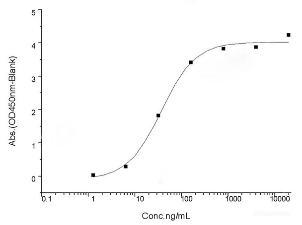 SARS-CoV-2 Spike Recombinant Protein (RBD, His Tag) (W436R) (Active)