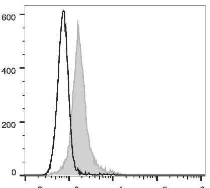 FITC Anti-Mouse CD274/PD-L1 Antibody [10F.9G2] (AGEL2260)