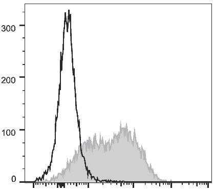 PerCP/Cyanine5.5 Anti-Mouse Ly6A/E (Sca-1) Antibody [D7] (AGEL2357)