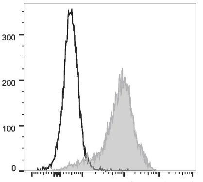 FITC Anti-Rat CD44H Antibody [OX-49] (AGEL2426)