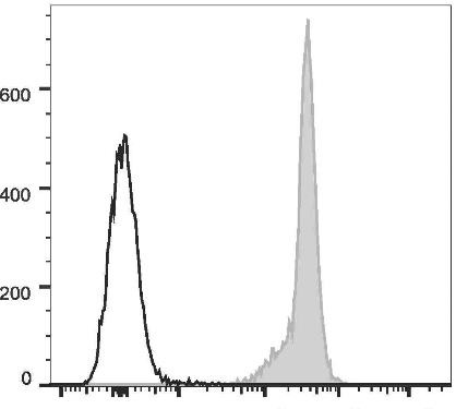 APC Anti-Rat CD45 Antibody [OX-1] (AGEL2446)