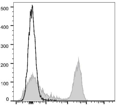 APC Anti-Rat CD3 Antibody [G4.18] (AGEL2456)