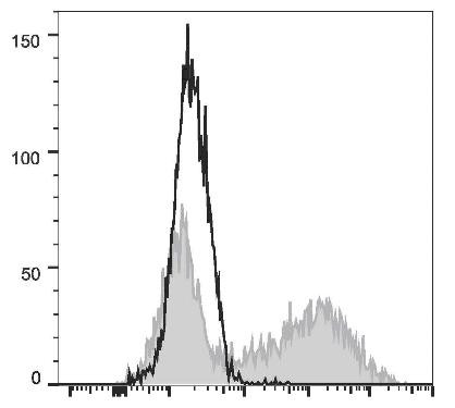 GenieFluor 647 Anti-Mouse IL-17A Antibody [TC11-18H10.1] (AGEL2757)