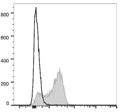 PE Anti-Mouse CD51 Antibody [RMV-7] (AGEL2762)