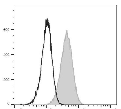 GenieFluor Violet 450 Anti-Mouse CD80 Antibody [16-10A1] (AGEL2944)