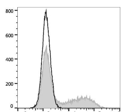 GenieFluor Violet 450 Anti-Mouse IL-17A Antibody [17F3] (AGEL3106)