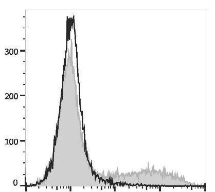 APC Anti-Mouse IL-17A Antibody [17F3] (AGEL3127)