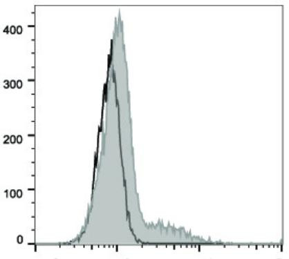 FITC Anti-Human CD74 Antibody [LN2] (AGEL2167)