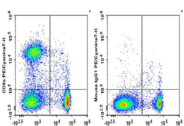PE/Cyanine7 Anti-Rat CD8a Antibody [OX-8] (AGEL2196)