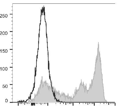 GenieFluor 488 Anti-Mouse Ly-6G/Ly-6C (Gr-1) Antibody [RB6-8C5] (AGEL2226)