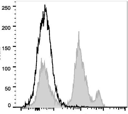 PerCP Anti-Mouse Ly6C Antibody [Monts 1] (AGEL2229)