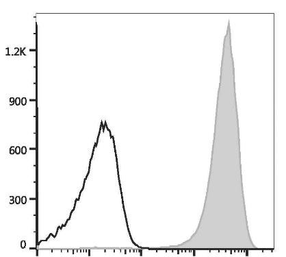 FITC Anti-Mouse CD41 Antibody [MWReg30] (AGEL2304)