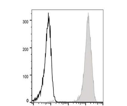 FITC Anti-Human CD44 Antibody [P2A1] (AGEL2798)