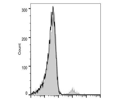 PE Anti-Human CD20 Antibody [BCA/B20] (AGEL2813)