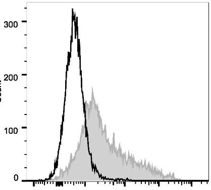 PE Anti-Mouse CD106 Antibody [M/K-2.7] (AGEL3140)