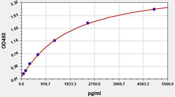 Human Total P53 (Tumor Protein p53) ELISA Kit (HUFI04776)