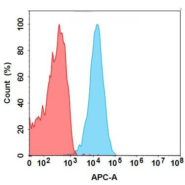 CD3E (DIMA BM323) mAb (HDBS0155)