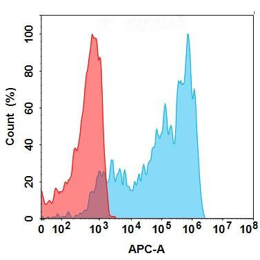 TNFa (Certolizumab biosimilar) mAb (HDBS0164)