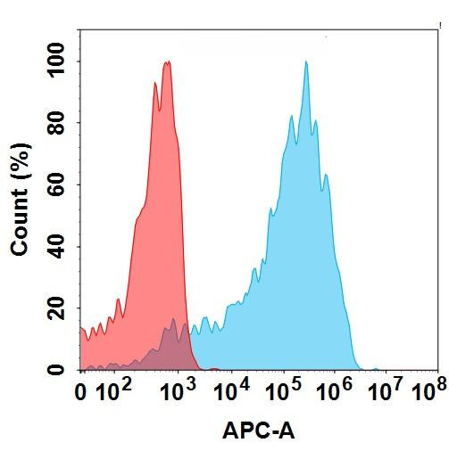 AXL (Mecbotamab biosimilar) mAb (HDBS0166)