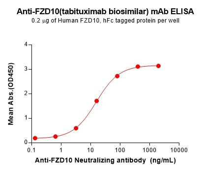 FZD10 (Tabituximab biosimilar) mAb (HDBS0167)