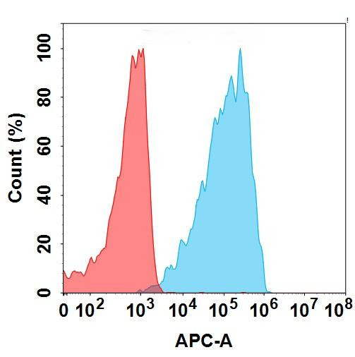 GPRC5D (LM305 biosimilar) mAb (HDBS0169)