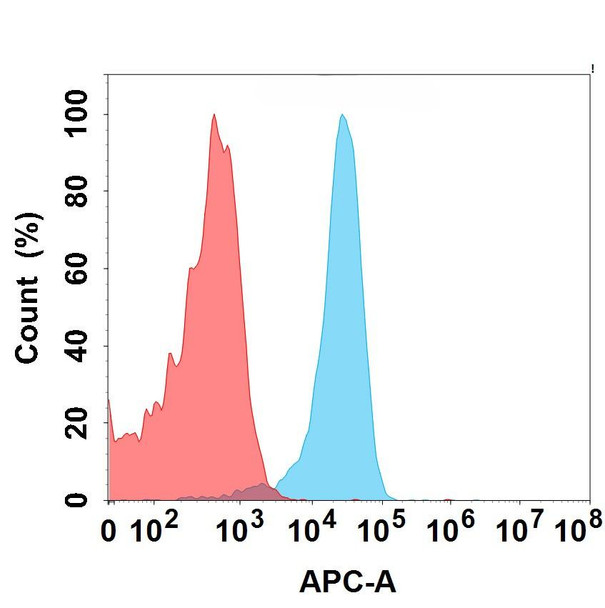 GPRC5D and CD3 (LBL-034 biosimilar) BsAb (HDBS0181)