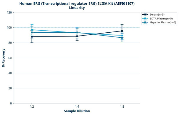 Human ERG (Transcriptional regulator ERG) ELISA Kit (AEFI01107)