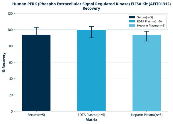 Human PERK (Phospho Extracellular Signal Regulated Kinase) ELISA Kit (AEFI01312)