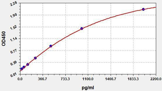 Rat ANGPTL2 (Angiopoietin-related protein 2) ELISA Kit (AEFI01578)