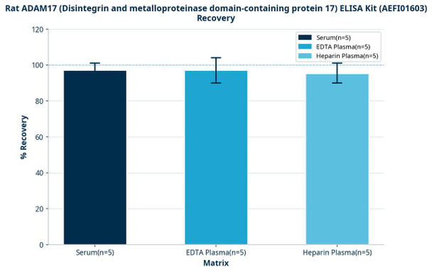 Rat ADAM17 (Disintegrin and metalloproteinase domain-containing protein 17) ELISA Kit (AEFI01603)