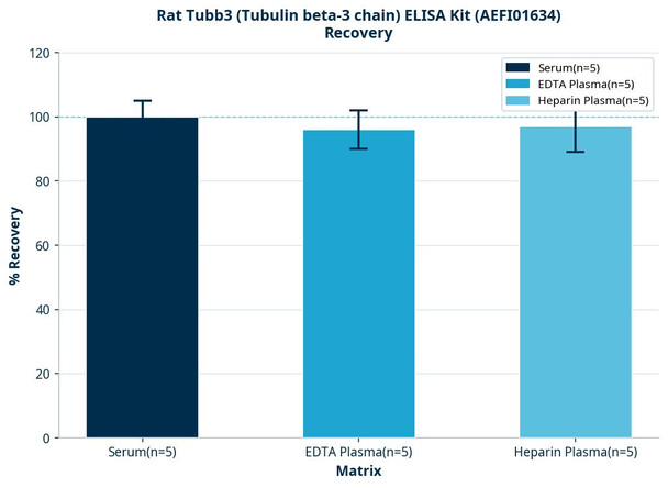 Rat Tubb3 (Tubulin beta-3 chain) ELISA Kit (AEFI01634)