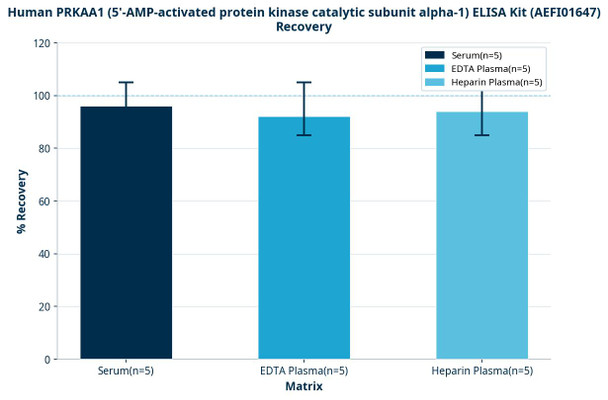 Human PRKAA1 (5'-AMP-activated protein kinase catalytic subunit alpha-1) ELISA Kit (AEFI01647)