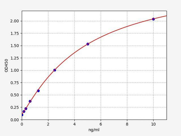 Rat ALOX15B (Polyunsaturated fatty acid lipoxygenase ALOX15B) ELISA Kit (AEFI01712)