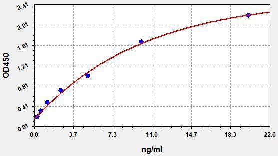 Human MMP-9 ColorStep ELISA Kit (AEFI01782)
