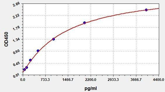 Rabbit Complement 5a ColorStep ELISA Kit (AEFI02047)