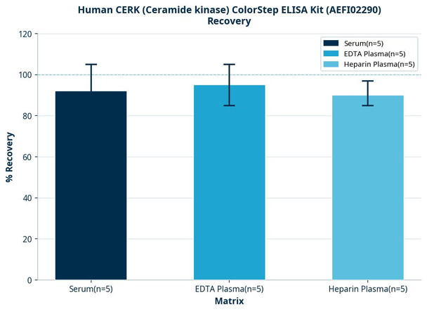 Human CERK (Ceramide kinase) ColorStep ELISA Kit (AEFI02290)