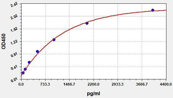 Human Osteoprotegerin ColorStep ELISA Kit (AEFI03004)