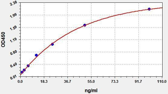Human Adiponectin ColorStep ELISA Kit (AEFI03016)