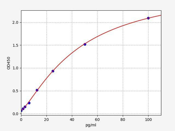 Rabbit VEGF ColorStep ELISA Kit (AEFI03295)