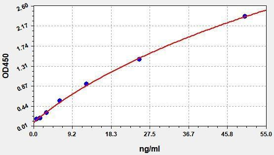 Anti-Semaglutide Antibody ADA ELISA Kit (AEFI03573)